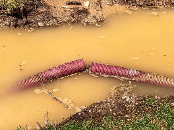 Best Professional water damage repair  in Sanatoga, PA